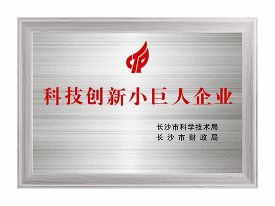 科技創(chuàng)新小巨人企業(yè)